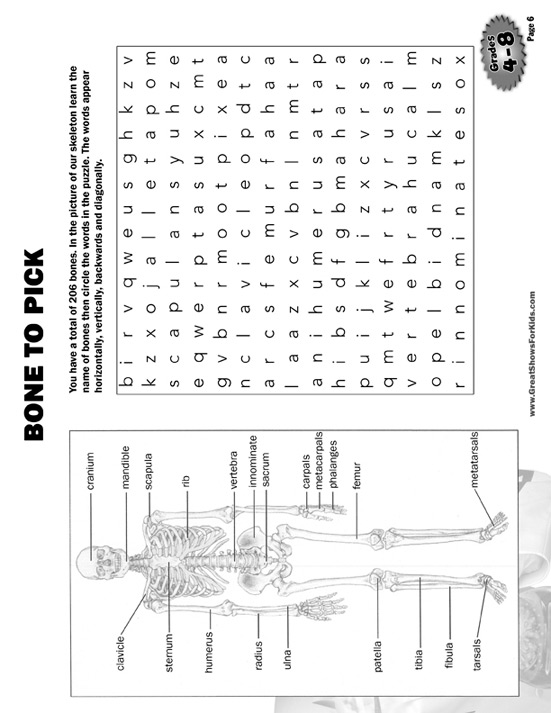 Activity Packet Sheet