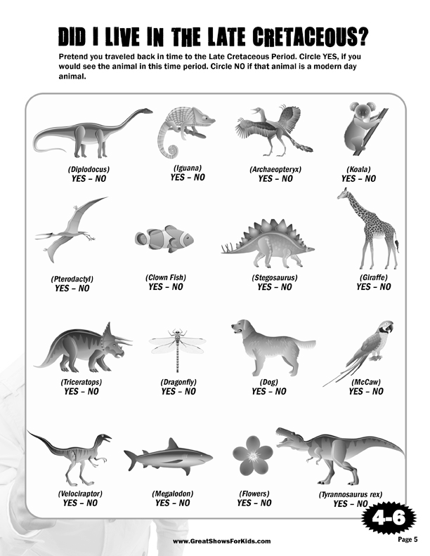 Activity Packet Sheet