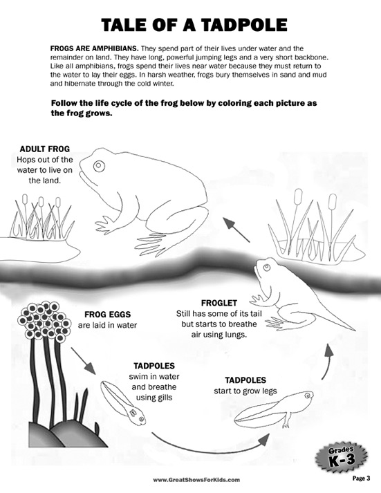 Activity Packet Sheet