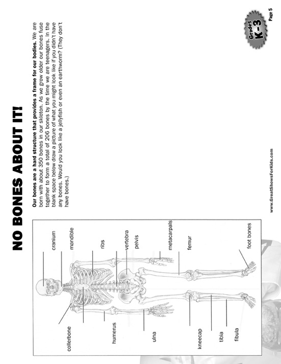 Activity Packet Sheet