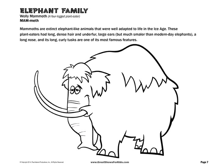 Activity Packet Sheet